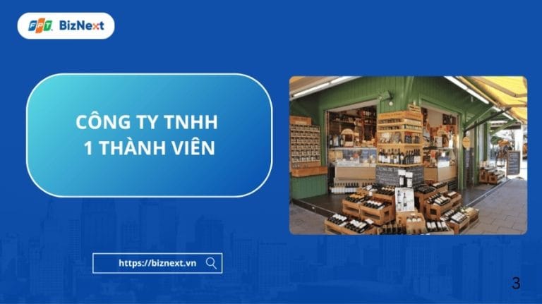 Hiểu về công ty TNHH 1 thành viên