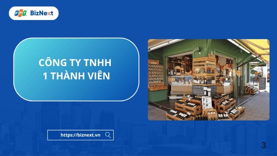 Hiểu về công ty TNHH 1 thành viên
