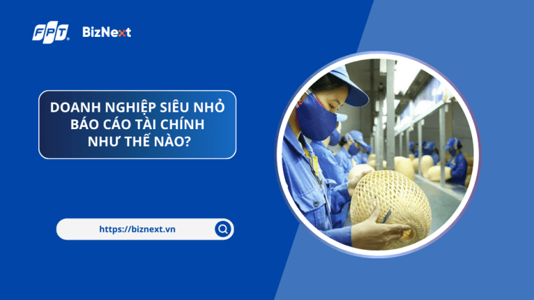 doanh-nghiep-sieu-nho-bao-cao-tai-chinh-nhu-the-nao